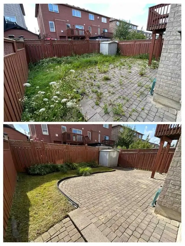 Yard Cleanups  / grass cutting/ more in Lawn, Tree Maintenance & Eavestrough in London - Image 4