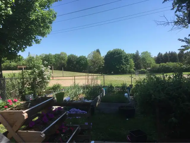 Bright, spacious - one bedroom apt. for rent in Long Term Rentals in Guelph - Image 10