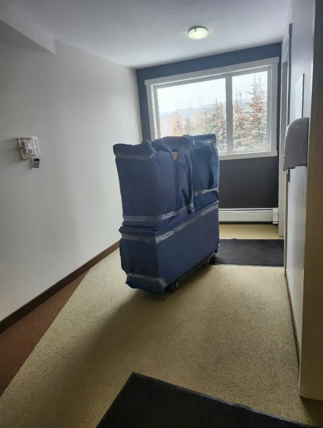 Professional and reasonable Movers473661953121996802