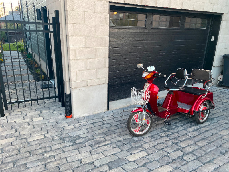 Tricycle électrique adulte rouge de deux places Vélos électriques