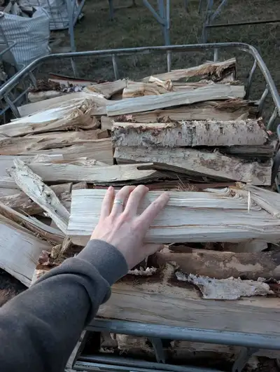 Birch firewood split and stacked into IBC totes 10-12 months ago. Current moisture reading around 10...