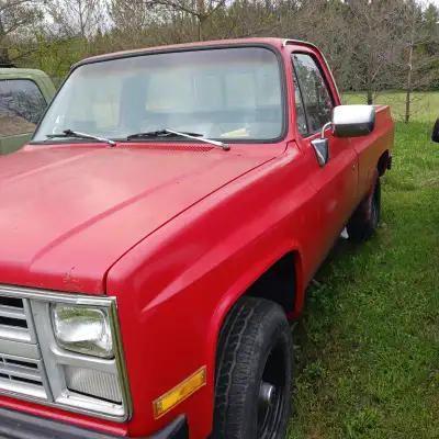 Selling the old man truck does run but not well ,truck needs work for the road needs to be restored....