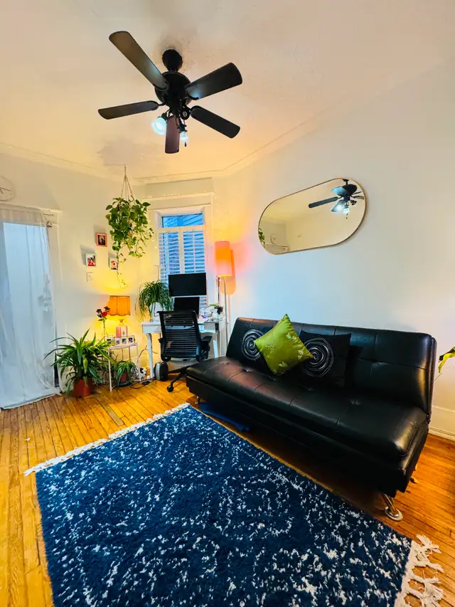 **Annex - large/clean/bright 1bdrm. Backyard patio. UTL INC