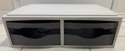 Fellowes (computer printer) paper storage drawer system and computer monitor riser. Adjustable slide...