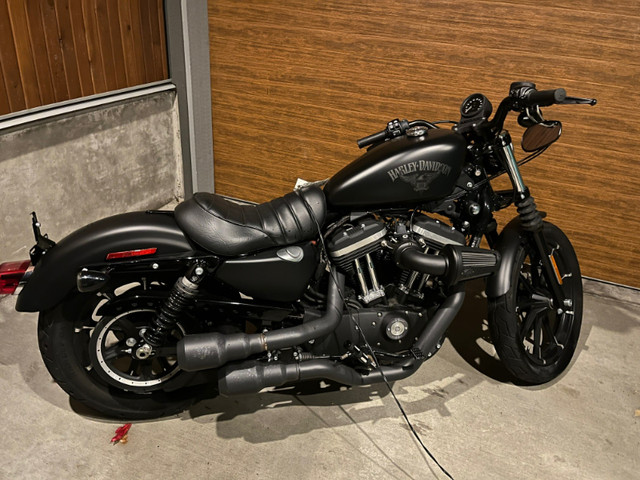 2016 Harley-Davidson Sportster Iron 883 in Street, Cruisers & Choppers in North Shore