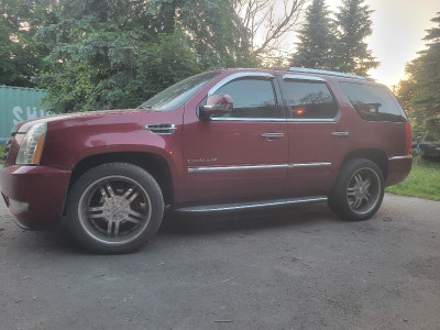 2010 Escalade Premium Luxury Edition