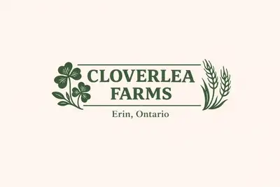 Cloverlea Farms is a young farm family actively looking for farmland to rent for the 2027 crop seaso...