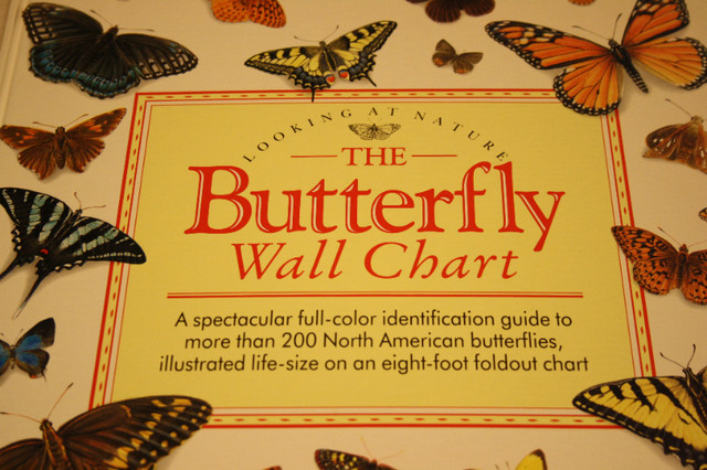 Butterfly Wall Chart Book - Life Size Colored Pictures in Non-fiction in Saint John - Image 2