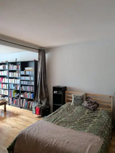 Appartement 3 1/2 (deux pièces ouvertes), situé dans Hochelaga-Maisonneuve, à proximité du Parc Morg...
