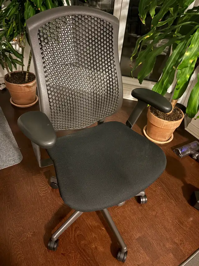 Herman Miller Celle Chair62863261306242124