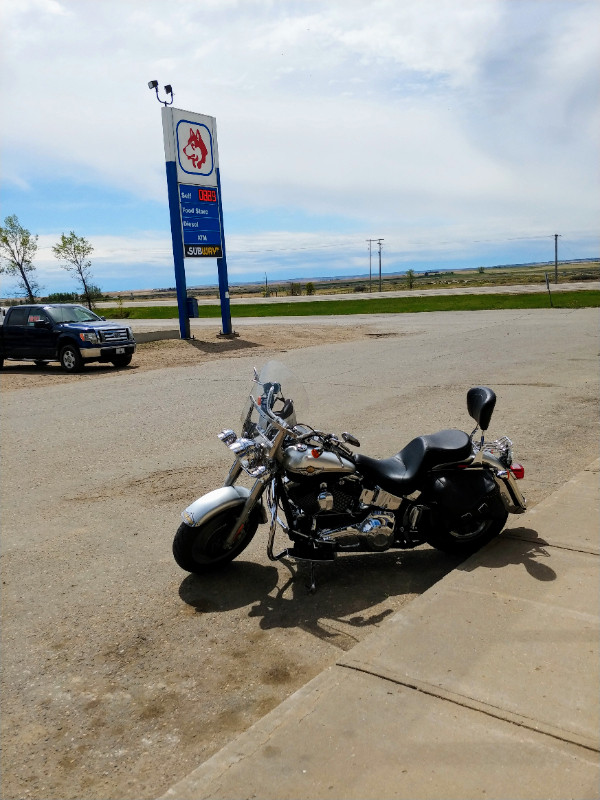 Harley Davidson in Sport Touring in Swift Current - Image 2