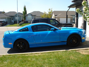 2014 Ford Mustang Club of America 
