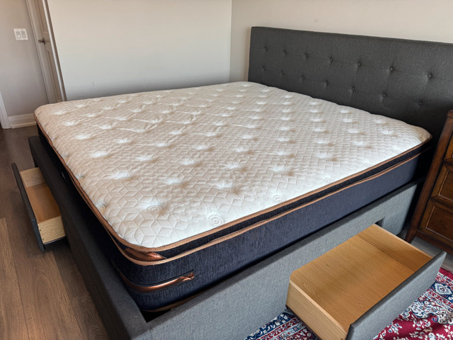 King Bed with Mattress in Beds & Mattresses in Oakville / Halton Region - Image 4