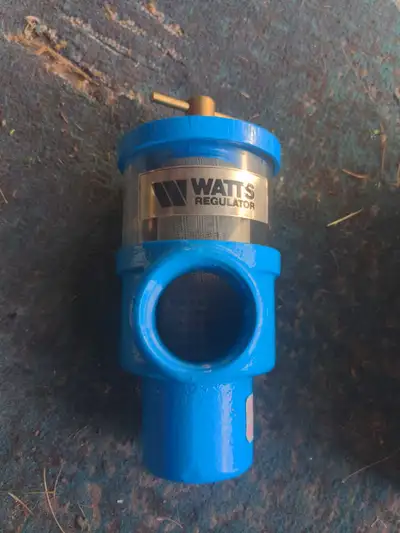 Watts Regulator Strainer, View more