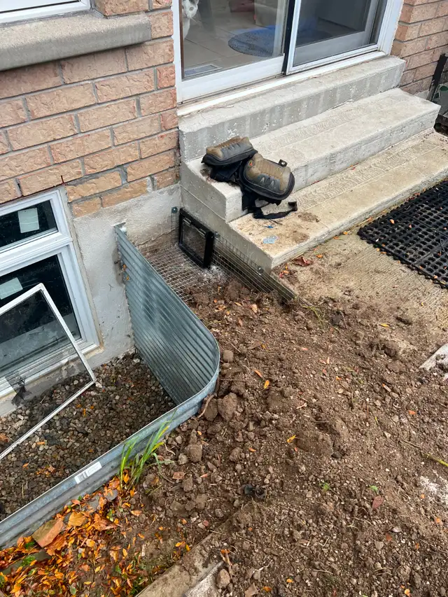 AAA Affordable Wildlife Control in Mississauga in Other in Mississauga / Peel Region - Image 17