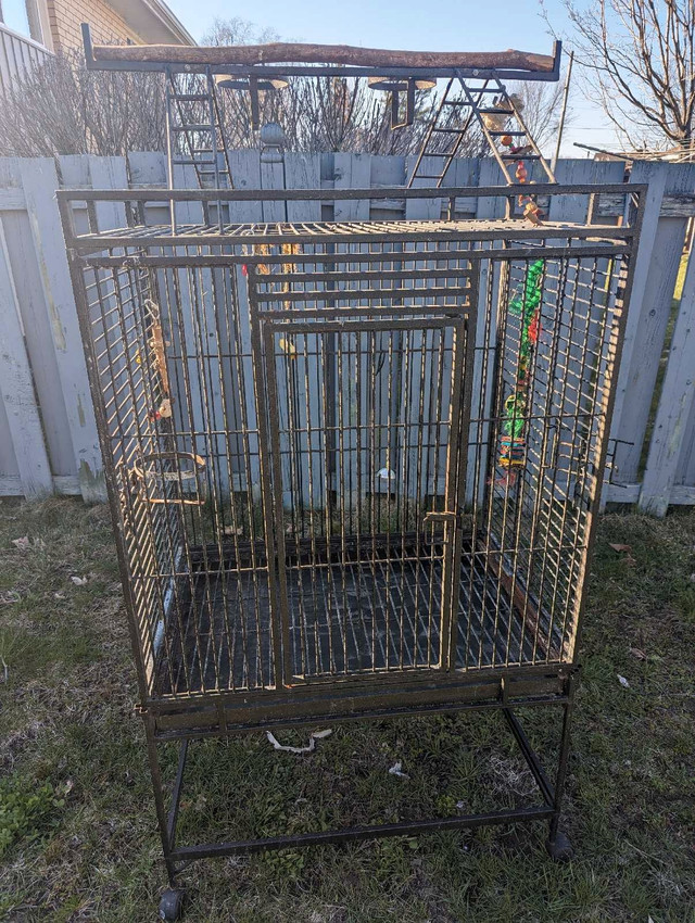 LG parrot cage / bird cage in Other in North Bay