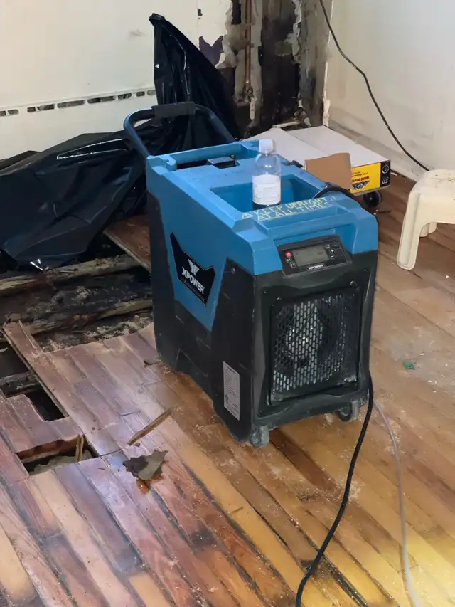 water damage590545920700590082