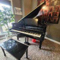 Digital Baby Grand piano 