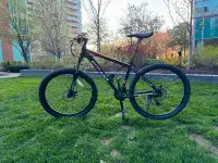 Mountain Bike - Large Frame