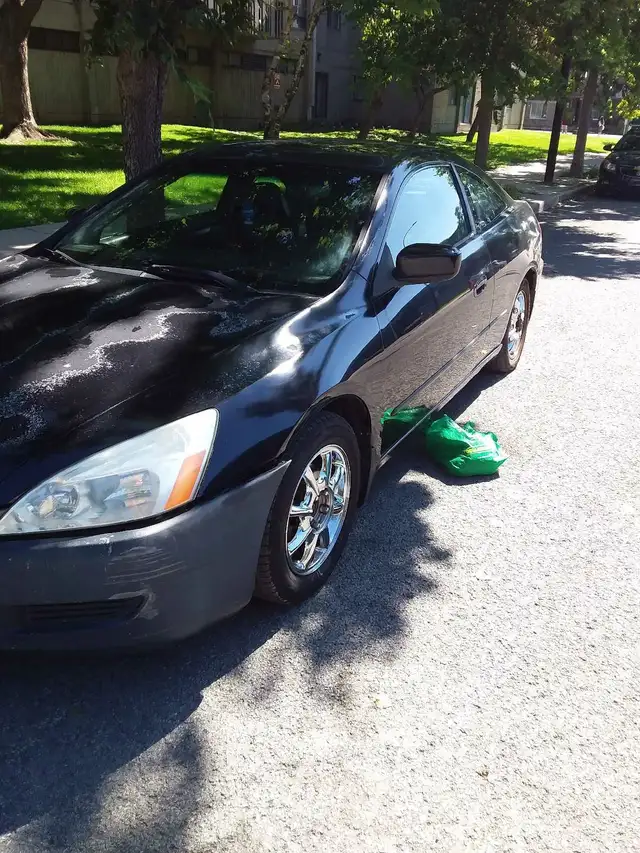 Honda Accord for Sale