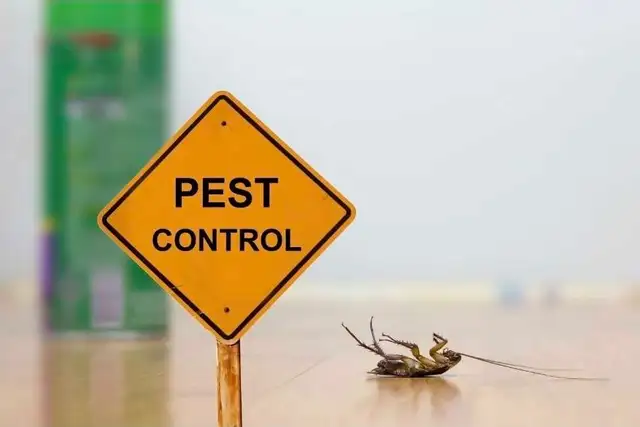 Affordable Pest Control 