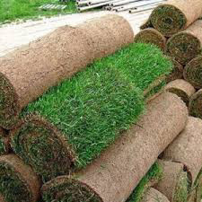  Installation Grass  in Lawnmowers & Leaf Blowers in Oakville / Halton Region - Image 2