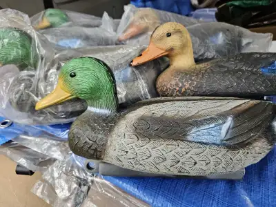 6 Duck Decoys - New Mallard , View more