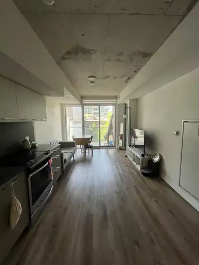 toronto downtown 30 baseball place short term rent