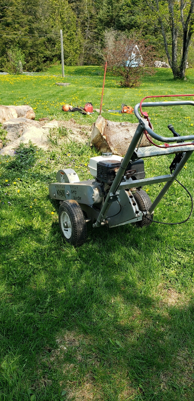 Stump grinding of trees  big or small in Lawn, Tree Maintenance & Eavestrough in Sault Ste. Marie - Image 3