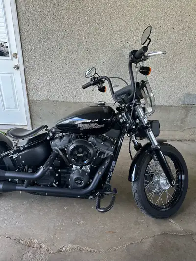 Have a 2019 Harley streetbob fxbb 107 motor rear fender chopped and springer seat Great handling and...