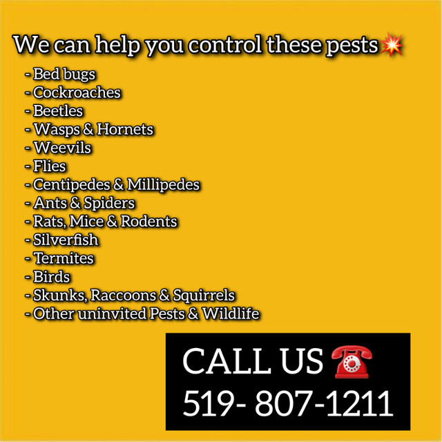 DEPENDABLE Pest Control _ SAVE 20% NOW (CALL US) in Lost & Found in Markham / York Region - Image 2