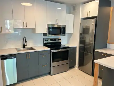 Available June 1st recently renovated 1 bedroom with balcony. Fully redone with condo quality finish...