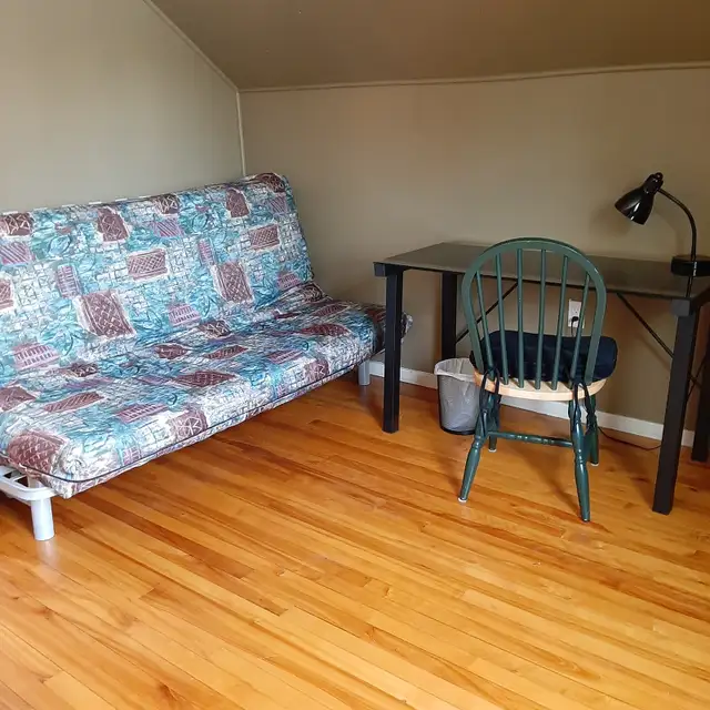 Comfortable large room for rent to single person  Nov 1st in Room Rentals & Roommates in Kingston - Image 7