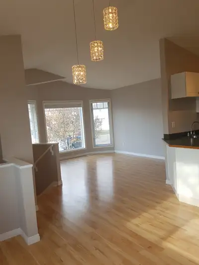 Dog Friendly rental in Oriole Park West