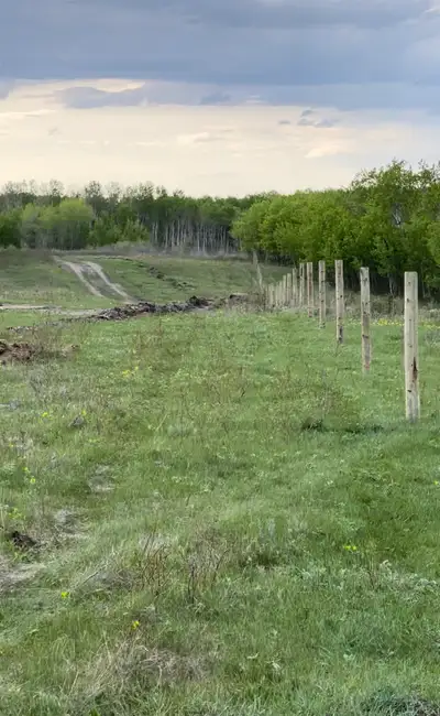 Fence building, fence repair or fence removal, View more