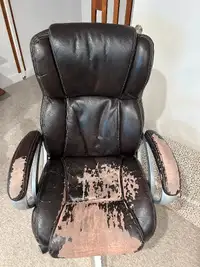 Costco Office Chair