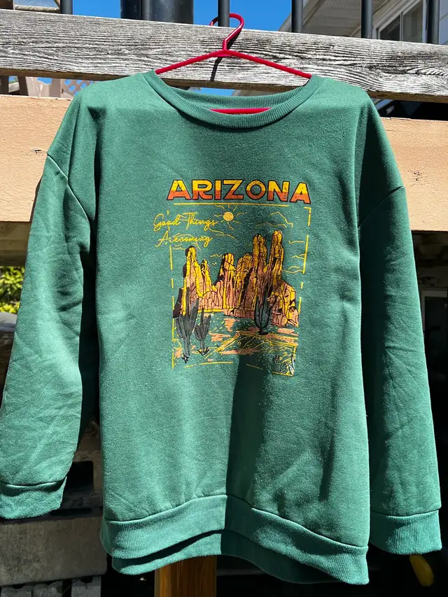 Arizona Vintage Green Sweater in Men's in Gatineau - Image 2