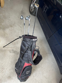 Golf bags with some clubs