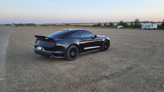 2019  Supercharged Mustang GT in Cars & Trucks in Fort McMurray - Image 4