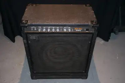 Roland BN-100 Bass Amp, View more