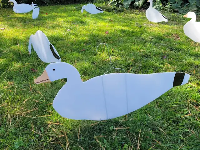 Snow geese silhouette decoys in Fishing, Camping & Outdoors in Ottawa - Image 2