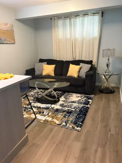 Fully Furnished Basement With Separate Entrance