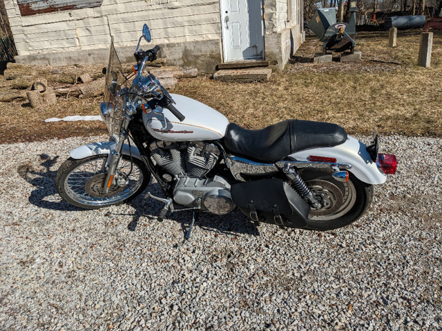 MOTO HARLEY DAVIDSON 883 dans Routières  à Longueuil/Rive Sud - Image 3