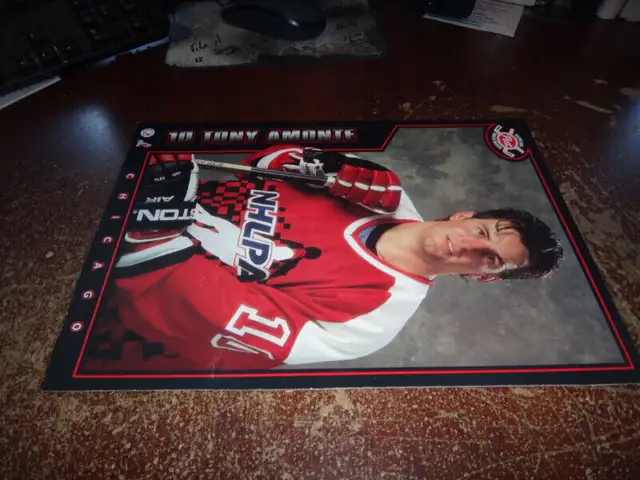 POST CEREAL 1994-1995 hockey NHL COLLECTOR SERIES TONY AMONTE 12 in Arts & Collectibles in Victoriaville - Image 3