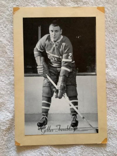 GILLES TREMBLAY - MONTREAL CANADIENS "BEEHIVE PHOTO", View more