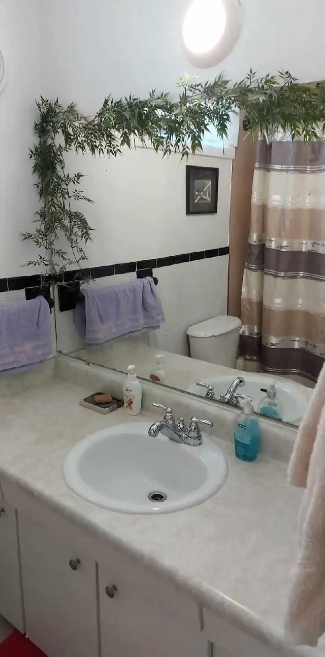 room for rent ~ January 1, 2025 in Room Rentals & Roommates in Peterborough - Image 4