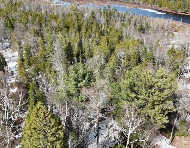 Terrain à vendre à Rawdon — photo 1