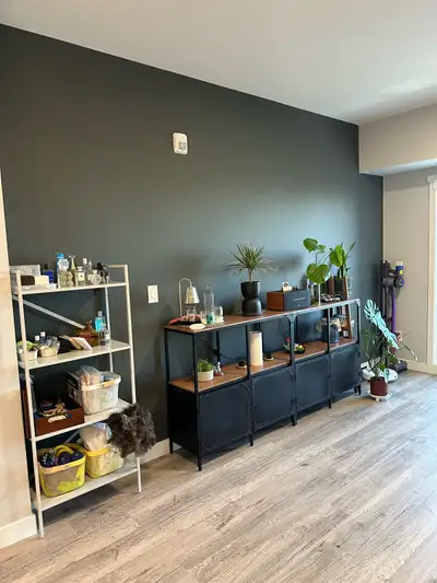 1bed 1batb Sublet