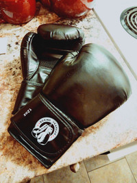 12 oz Boxing Gloves (New)