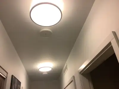 12 in. flush mount lights, bright, stylish, & elegant. Sold individual @$38, or a set. I have 17.